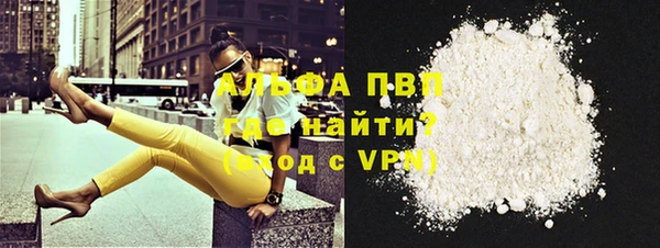 стаф Абинск