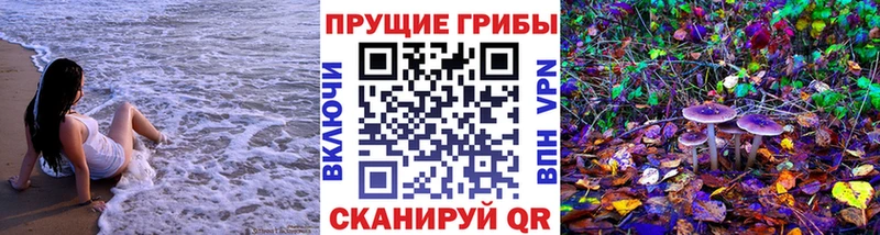 где найти   Новочеркасск  Псилоцибиновые грибы Psilocybe 