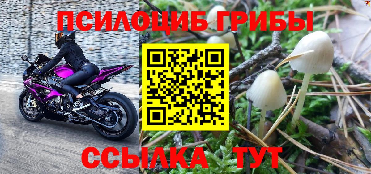 Новочеркасск  Галлюциногенные грибы Magic Shrooms  Вход с VPN 