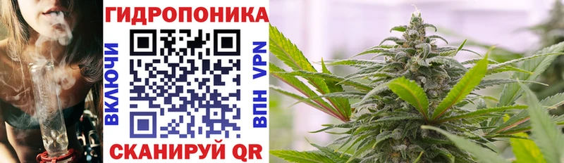 kraken как войти  Новочеркасск  Шишки марихуана планчик 